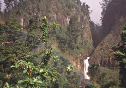 EMERALD POOL WASSERFALL, MORNE TROIS PITONS, DOMINICA